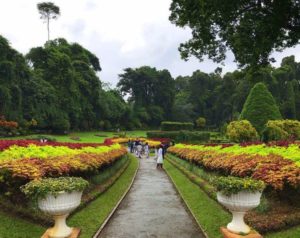 kandy royal botanical garden