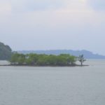IMG_1445
