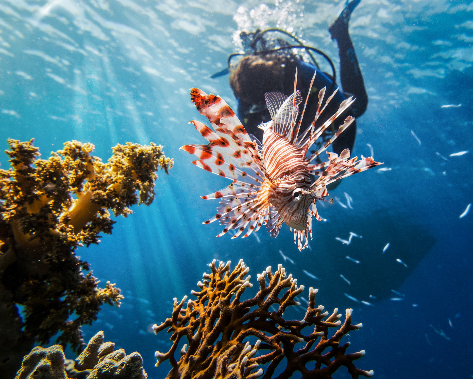 5 must experience offbeat adventures in Andaman! 5 must experience offbeat adventures in Andaman!
