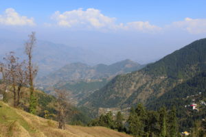 dalhousie