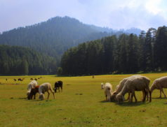 khajjiar