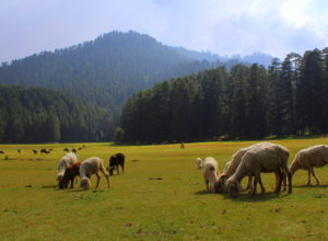 khajjiar