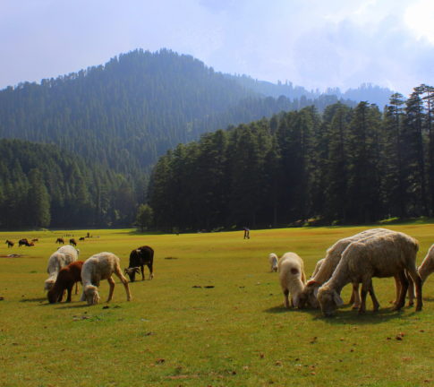 khajjiar