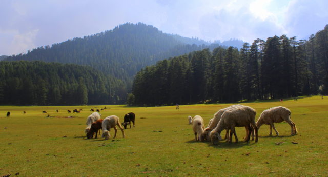 khajjiar