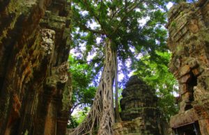 angkor wat