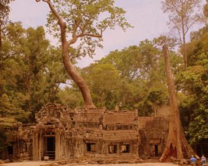 Ta Prohm