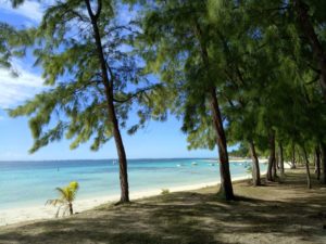 Mont Choisy Beach