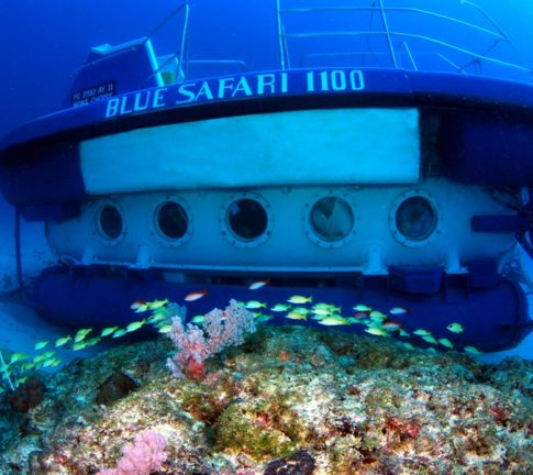 Blue Safari Submarine