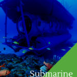 Submarine Dive in Mauritius