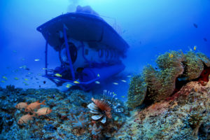 Blue Safari Submarine