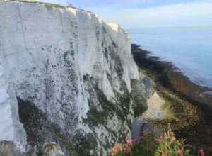 Dover White Cliffs