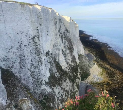 Dover White Cliffs