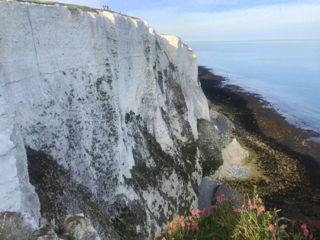 Dover White Cliffs