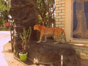 Gir forest with kids