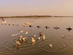 Kankaria Lake