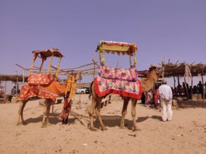 Porbandar sightseeing