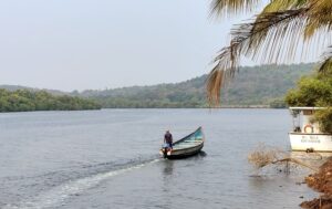 Chorao Island